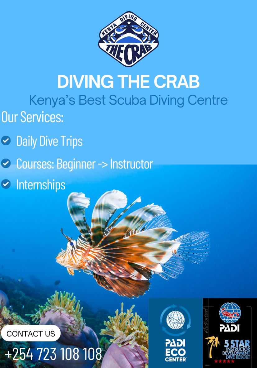 Diving & Water Sports background