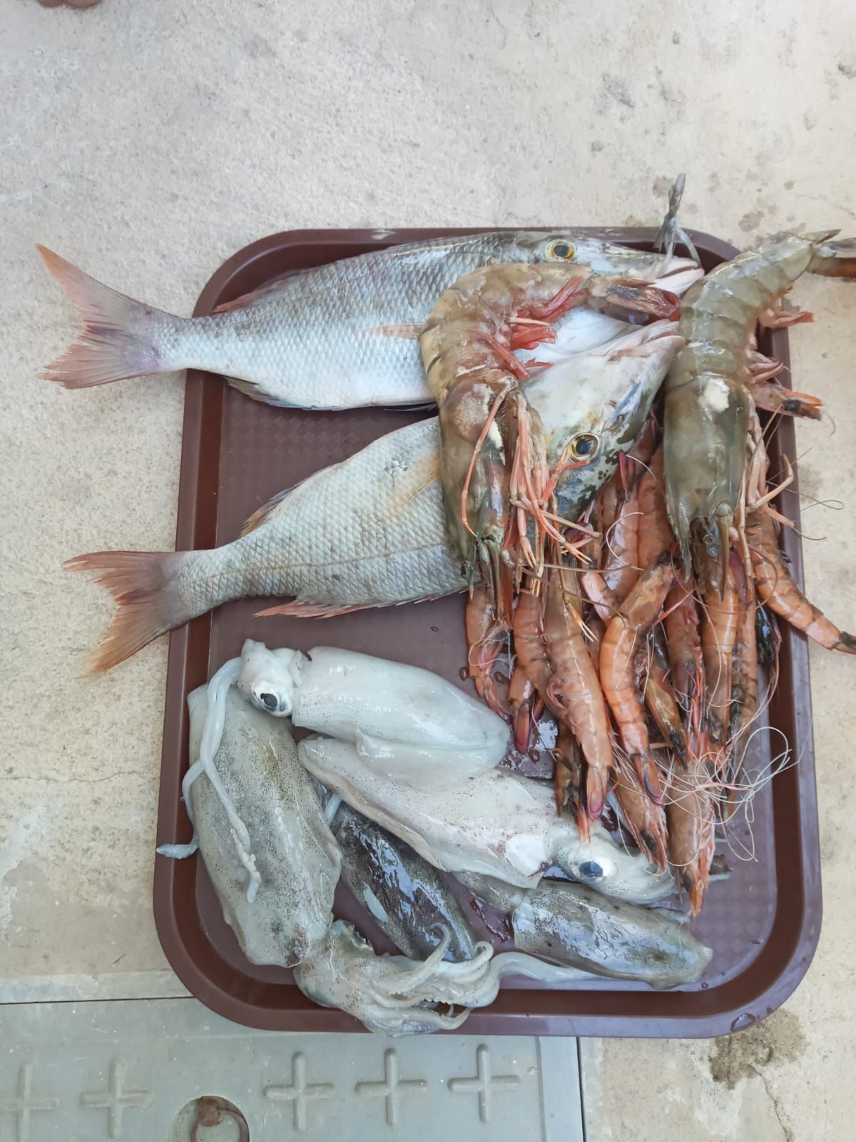 Dining Experiences background