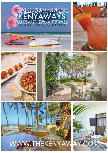 Safari & Tours background